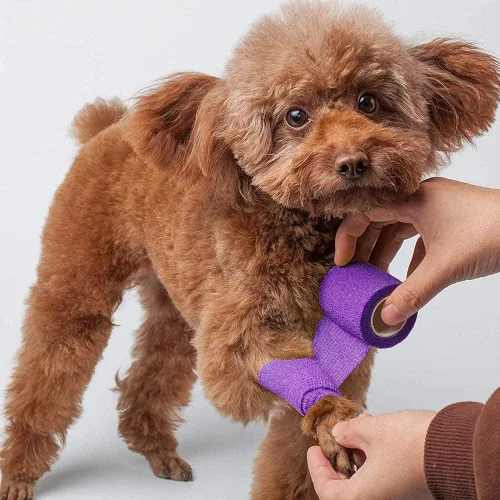 Miniatura 8 de Lotfancy 10 rollos de envoltura veterinaria autoadhesiva, vendaje cohesivo de 2 pulgadas para el cuidado de heridas, cinta elástica para mascotas