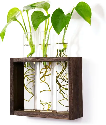 Miniatura 11 de Estación de propagación de plantas de madera de 5 tubos, soporte de terrario de vidrio de mesa para esquejes hidroponía, decoración de escritorio