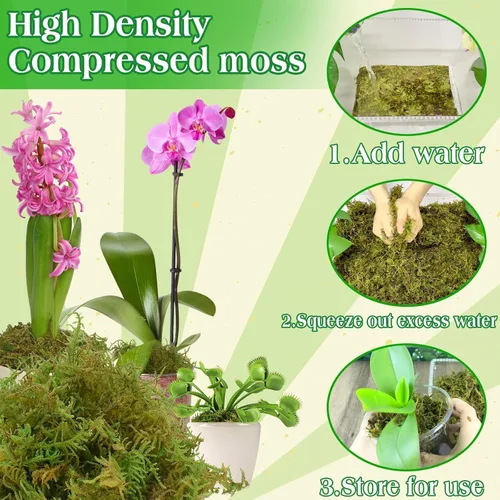 Miniatura 4 de Halatool 6OZ de musgo verde para plantas de interior, 8QT de musgo de orquídea para replantar, musgo de bosque para plantas en maceta, musgo real