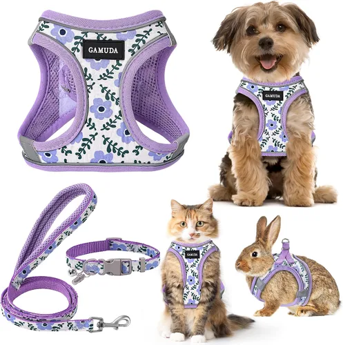Miniatura 20 de GAMUDA Juego de Arnés, Collar y Correa para Perro Pequeño, Paso a Paso Sin Estrangulamiento Sin Tirones de Malla Suave Chaleco Ajustable para Perro