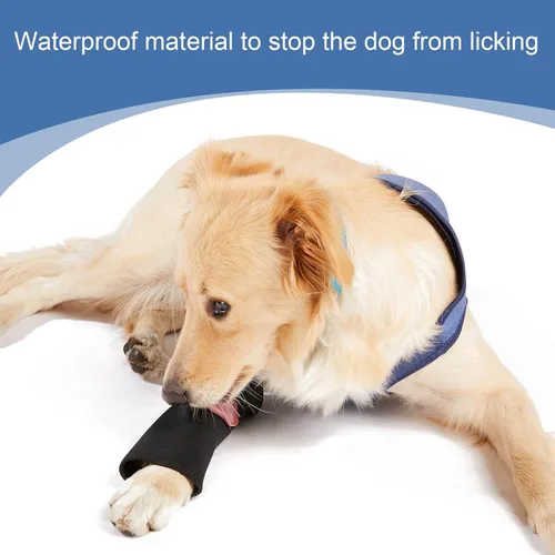 Miniatura 3 de Coodeo - Traje de recuperación para perros, alternativa al collar con cono, manga de recuperación para perros resistente a las abrasiones, lavable