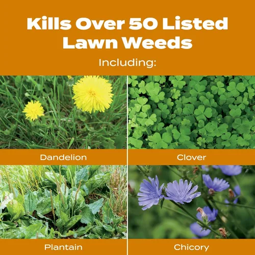 Miniatura 6 de Scotts Turf Builder WinterGuard Fall Weed & Feed5, Weed Killer Plus Fertilizante de otoño, 4,000 pies cuadrados, 11.28 libras. Weed Killer Plus