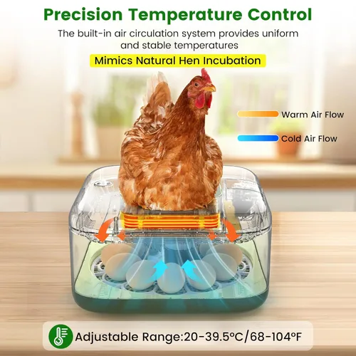 Miniatura 4 de Incubadora de 12 huevos con giro automático, recarga automática de agua y control de temperatura/humedad, además de guía de eclosión, criador