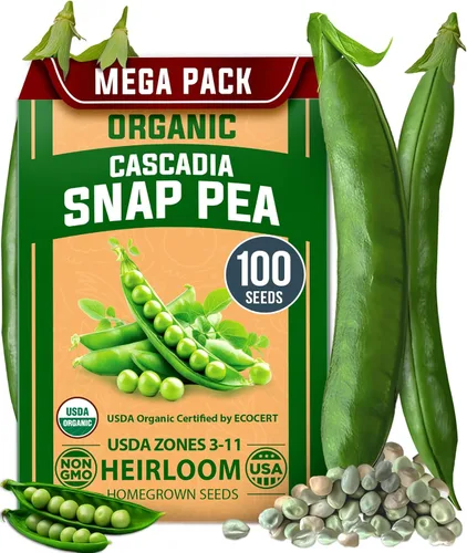 Miniatura 138 de HOME GROWN Mezcla de semillas germinantes de primera calidad, microgreens 118,200 semillas para cultivo en interiores, brócoli, alfalfa, rábano