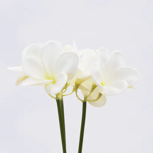 Miniatura 4 de Winterworm 3 piezas de flores artificiales de plumeria frangipani, 9 ramos de flores artificiales con tallos para el hogar, oficina, boda, Blanco