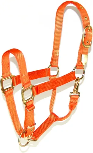 Miniatura 16 de Hamilton, Halter de 1 pulgada con barbilla ajustable, azul baya, 800-1100 libras