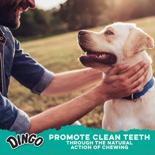 Miniatura 6 de Palillos dentales Dingo 48 unidades, acción de masticación natural ayuda a limpiar los dientes