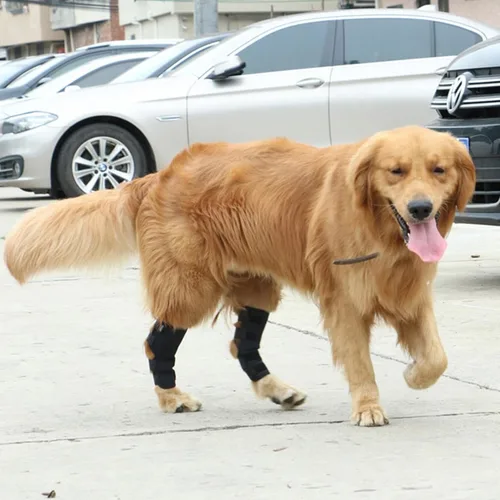 Miniatura 2 de Coderas para perro, cómoda funda elástica ajustable para patas de perro para dejar de lamer, manga protectora de recuperación para perro, soportes