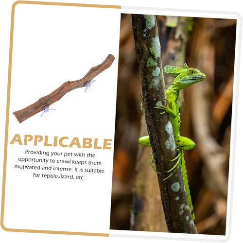 Miniatura 3 de Soporte de madera de uva dragón barbudo juguete succión árbol rama lagarto suministros decoración terrario