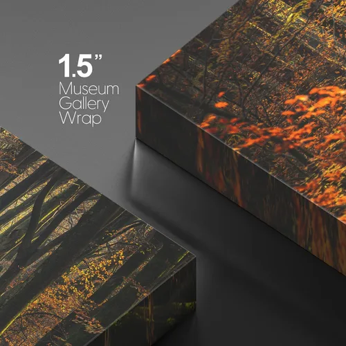Miniatura 4 de wall26 Cuadro en lienzo para pared Otoño otoño hoja naranja bosque árbol sendero naturaleza paisaje fotografías de la naturaleza realismo escenas