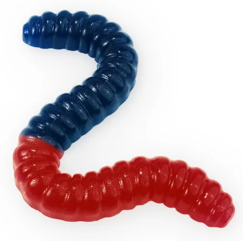 Miniatura 4 de Gusano de gomita gigante – Caramelo de gomita grande de 2 libras con gran sabor afrutado de GGB Candies (azul frambuesa/naranja)