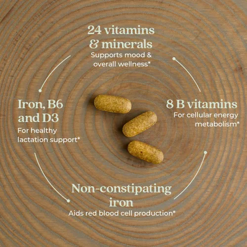 Miniatura 3 de New Chapter, Vitaminas Postnatales Suplemento de Lactancia, Multivitamínico Completo con Vitamina D3 Fermentada + Vitaminas B, Hecho con Verduras
