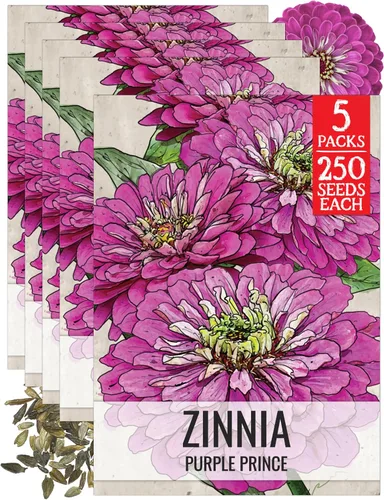 Miniatura 47 de Seed Needs California Giants - Semillas de zinnia – 250 semillas tradicionales para plantar Zinnia elegans – Cultiva flores anuales polinizadas