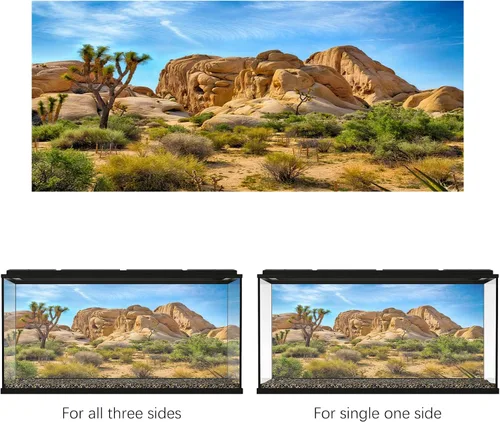 Miniatura 4 de Telón de fondo de poliéster 5x3ft Joshua Tree National Park Telón de fondo árido árido árido piedra arenisca roca clima montaña y desierto paisaje