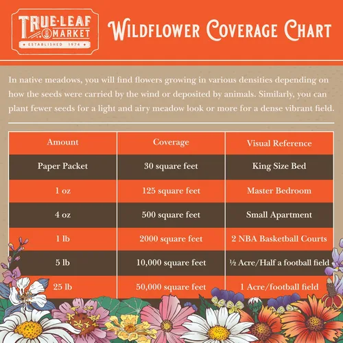 Miniatura 4 de Todas las semillas de flores silvestres anuales mezcladas para plantar - 1 lb ~16,000+ semillas - 21 variedades incluyendo amapola de California