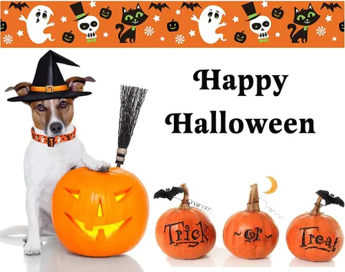 Miniatura 5 de Mihqy - Collar de perro de Halloween con diseño de fantasma, murciélago y calabaza, ajustable para perros pequeños, medianos y grandes, Halloween, M