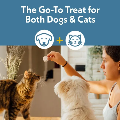 Miniatura 4 de Fresh Is Best Golosinas liofilizadas de filetes de corazón de pavo para perros – Golosinas crudas liofilizadas para perros y gatos en bolsa