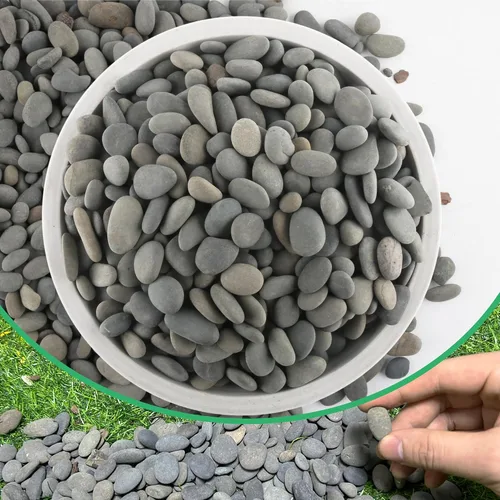 Miniatura 13 de Piedras de río de 2.4 libras para plantas y suculentas, paisajismo decorativo al aire libre y rocas de jardín de acuarios
