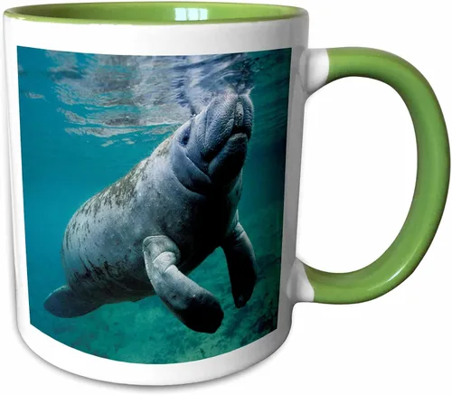 Miniatura 12 de 3dRose, Taza negra bicolor de 11 oz, negro/blanco