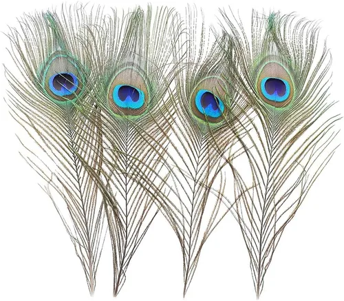 Miniatura 4 de Ballinger 6 PCS Plumas de Ojo de Pavo Real Naturales Grandes de 10-12 pulgadas para Manualidades DIY, Decoraciones de Boda y Festivas