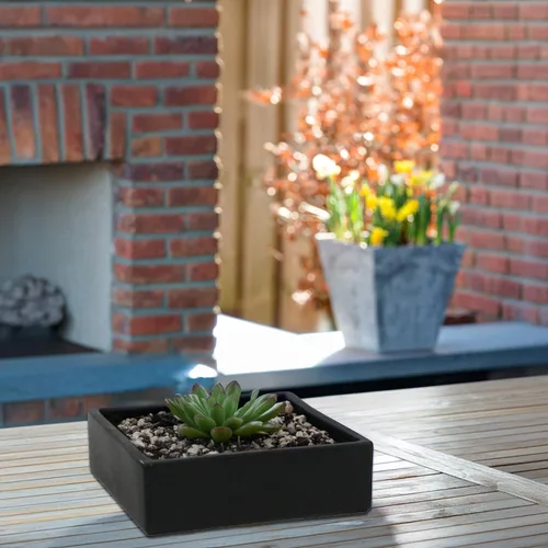 Miniatura 22 de WGV - Jarrón de cerámica con bloque a granel, ancho de 6 pulgadas, alto 4 pulgadas, elegante maceta cuadrada corta, floral, terrario, cómoda