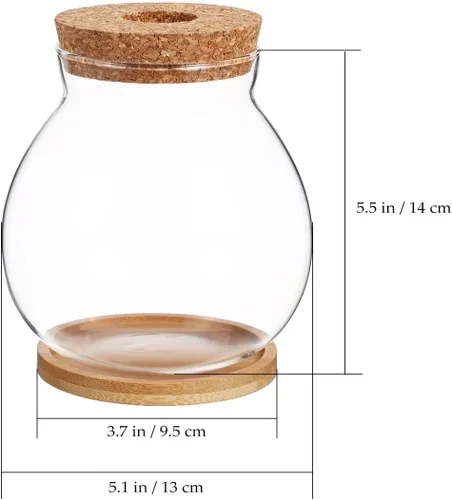 Miniatura 4 de balacoo Betta Fish Bowl - Tanque de cristal Betta con cojín hidropónico, terrario para decoración de oficina en casa, pecera pequeña para ecosistema
