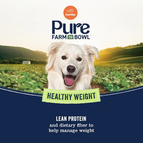 Miniatura 5 de Canidae Pure - Receta para perros adultos, ingredientes limitados. Comida seca de primera para perros, libre de granos