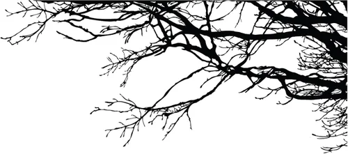 Miniatura 9 de Adhesivo decorativo para pared de árbol grande, ramas negras semi-brillantes, (21 x 50 pulgadas) de izquierda a derecha. Extraíble, no necesita