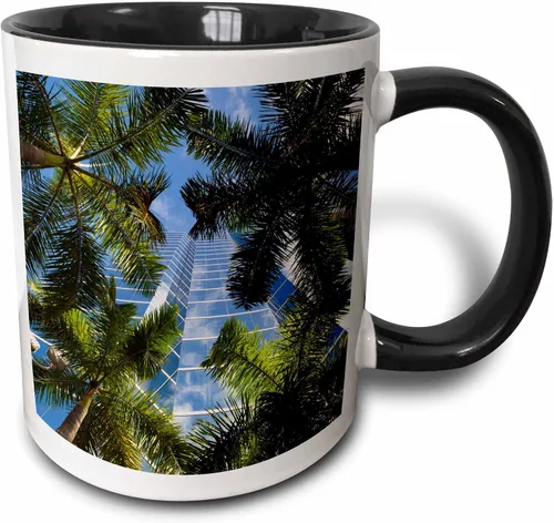 3dRose Estados Unidos, Florida, Miami, Brickell Avenue, edificios de gran altura. Taza negra de dos tonos de 11 oz