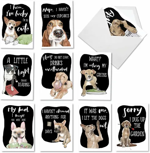 Miniatura 7 de NobleWorks Juego de 10 tarjetas de felicitación en blanco para todas las ocasiones con sobres de 5 x 7 pulgadas (10 diseños, 1 cada uno) Life's a