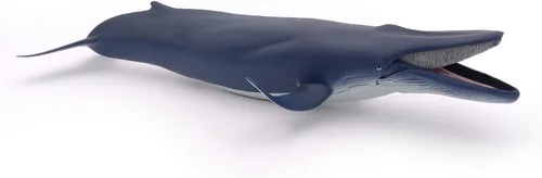 Miniatura 8 de Papo - Figura realista de ballena azul para niños - A partir de 3 años - Colección de vida marina - Juego educativo de mamíferos marinos - Juguete