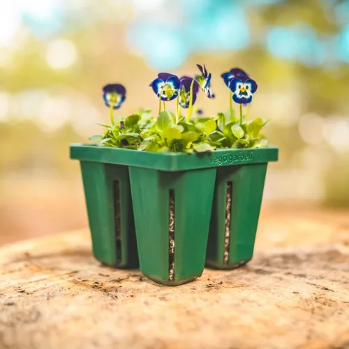 Miniatura 4 de Vego garden Bandejas de plántulas jumbo sin tapas, paquete de 8 bandejas reutilizables para cultivar plantas más grandes, bandejas de germinación