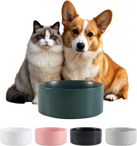 Miniatura 21 de Cuenco de cerámica para perros para comida y agua, cuenco comedero para mascotas para perros y gatos pequeños, plato de alimentación de cerámica