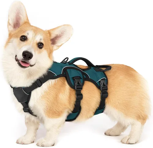 Miniatura 31 de rabbitgoo - Arnés para perro a prueba de fugas, arnés para mascotas acolchado suave de cuerpo completo, chaleco reflectante ajustable sin tirones