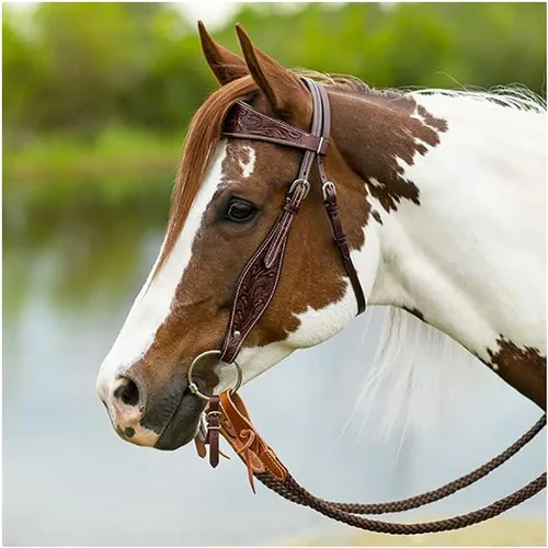 Miniatura 2 de Schneiders Doble S Apache Browband Headstall Equipo esencial para caballos Uso versátil Diseño manual Ajustable y cómodo Acentos de acero