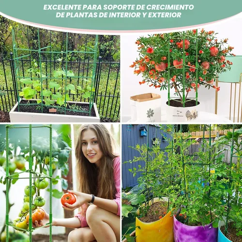 Miniatura 8 de Legigo Paquete de 4 jaulas de tomate de 4 pies para soporte de plantas de jardín, estacas de jardín de hasta 48 pulgadas, jaula de tomate