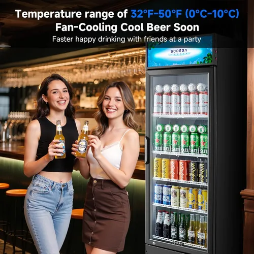Miniatura 4 de BODEGA BODEGACOOLER Refrigerador Comercial Exhibidor de 9 Pies Cúbicos, Refrigerador Comercial Grande Negro con Puerta de Vidrio, Luz LED/Cerradura