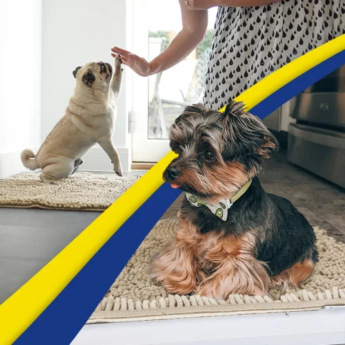 Miniatura 5 de Muddy Mat® Mostrado en la televisión - Tapete de microfibra súper absorbente para puerta de perro para patas fangosas, antideslizante y lavable