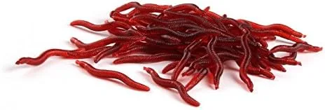 Miniatura 2 de 100pcs 1.6 in 0.01 oz Señuelo Suave Gusanos Rojos - Cebos de pesca de lombriz de tierra para trucha - Señuelos de pesca de agua dulce
