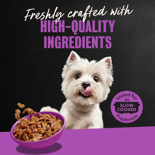 Miniatura 11 de Cesar Filetes en Salsa, Comida Húmeda para Perros Adultos, Sabor Filete Mignon, Comida Húmeda para Perros, Bandejas de 3.5 onzas, 24