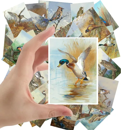 Miniatura 15 de Calcomanías grandes, 24 piezas (2.5 x 3.5 pulgadas cada una) pájaros, mariposas y flores, libro botánico antiguo, ilustración, postales vintage, Ocho