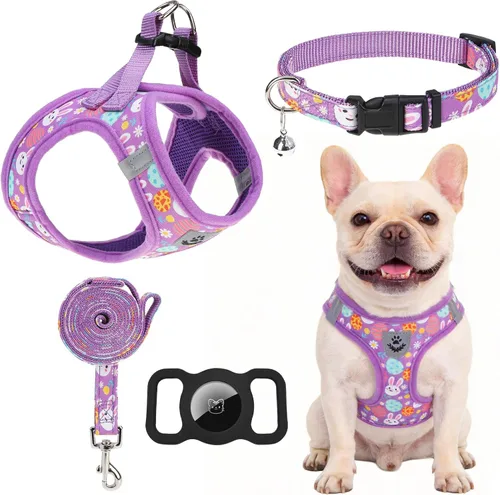 Miniatura 11 de EXPAWLORER Arnés Clásico de Plátanos para Cachorros - Juego de Arnés y Correa para Perros Pequeños - Juego de Collar y Correa para Perros con Azul