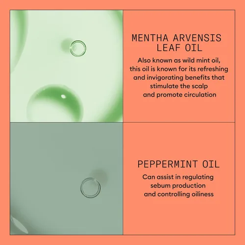 Miniatura 5 de Nioxin System 4 - Acondicionador para cabello teñido, seco y dañado con adelgazamiento progresado, mantiene un color vibrante, nutre y aumenta