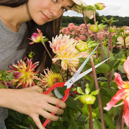 Miniatura 6 de Tijeras de podar extralargas, podadoras manuales de jardinería con cuchillas de acero inoxidable, tijeras de jardín para arreglar flores, recortar