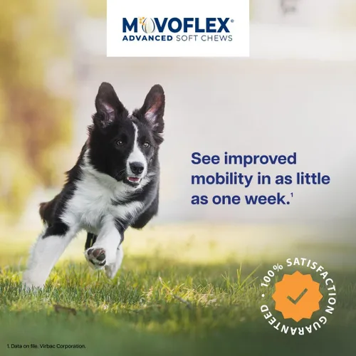 Miniatura 3 de MOVOFLEX Virbac - Suplemento de apoyo avanzado para la cadera y las articulaciones para perros medianos, 60
