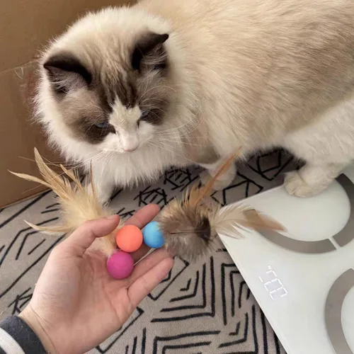 Miniatura 5 de Pelotas de juguete para gatos con plumas, 3 pelotas interactivas para gatos de interior y gatitos juguetones, juguetes de goma