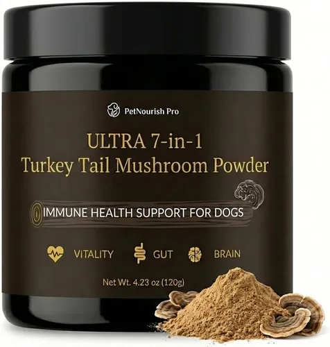 Polvo de hongo de cola de pavo para perros – Polvo de hongos ultra 7 en 1 con beta-glucanos, apoyo inmunológico, digestivo y cerebral, sabor a