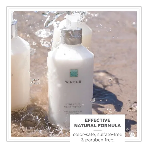 Miniatura 2 de Zents Acondicionador de agua hidratante (tamaño de viaje), color seguro y sin sulfatos con manteca de karité orgánica y aceite de jojoba para todo