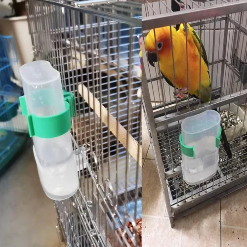 Miniatura 9 de Dispensador automático de agua para pájaros, comedero de agua de loro, contenedor de alimentos de semillas de pájaros, bebedero de periquitos
