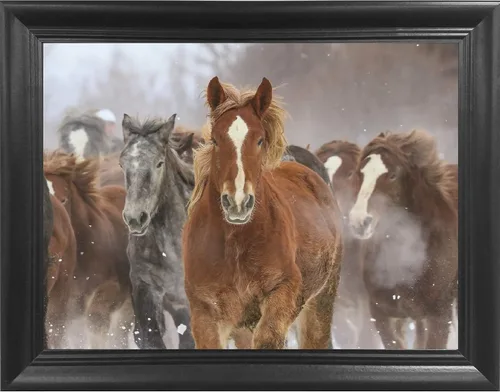 Miniatura 26 de Póster 3D de león, tigre y lobo con lengua hacia fuera 11.8 x 15.7 pulgadas Pósteres e imágenes de animales salvajes Regalos de recuerdos